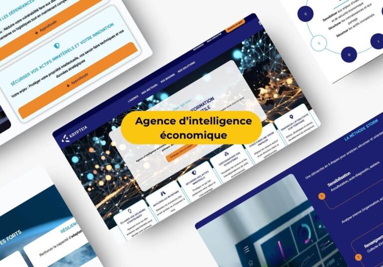 site web agence intelligence économique